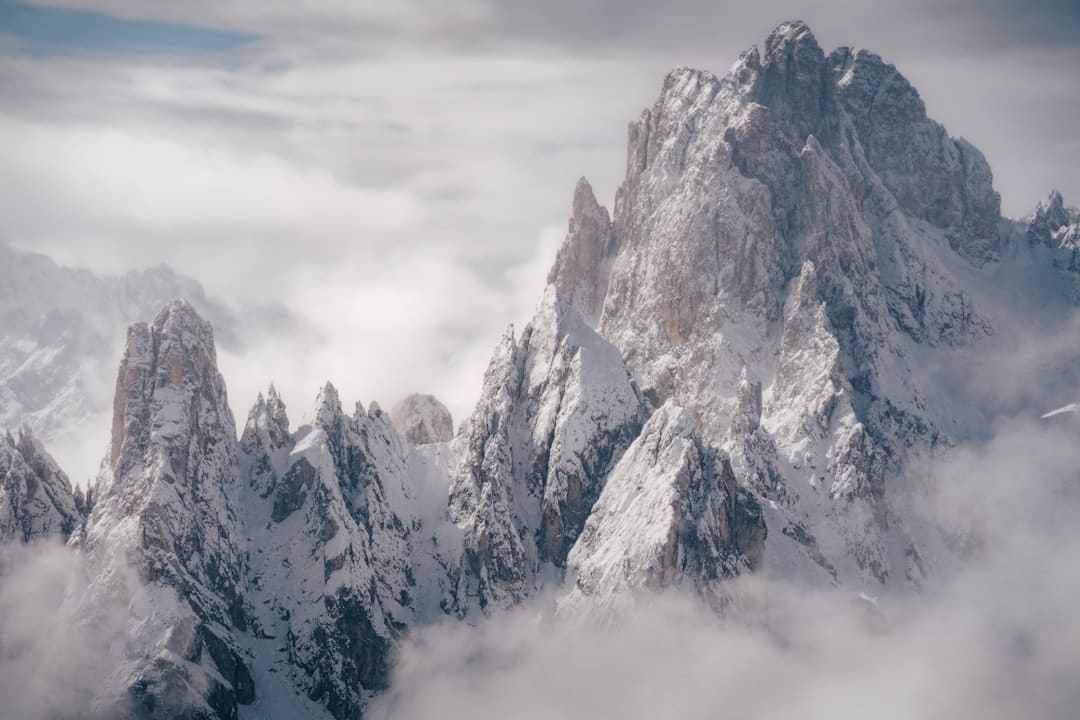 https://img2.utuku.imgcdc.com/650x0/news/20250905/99c77cf4-7cc3-4d34-a55e-c3dcaf1d61a9.jpg